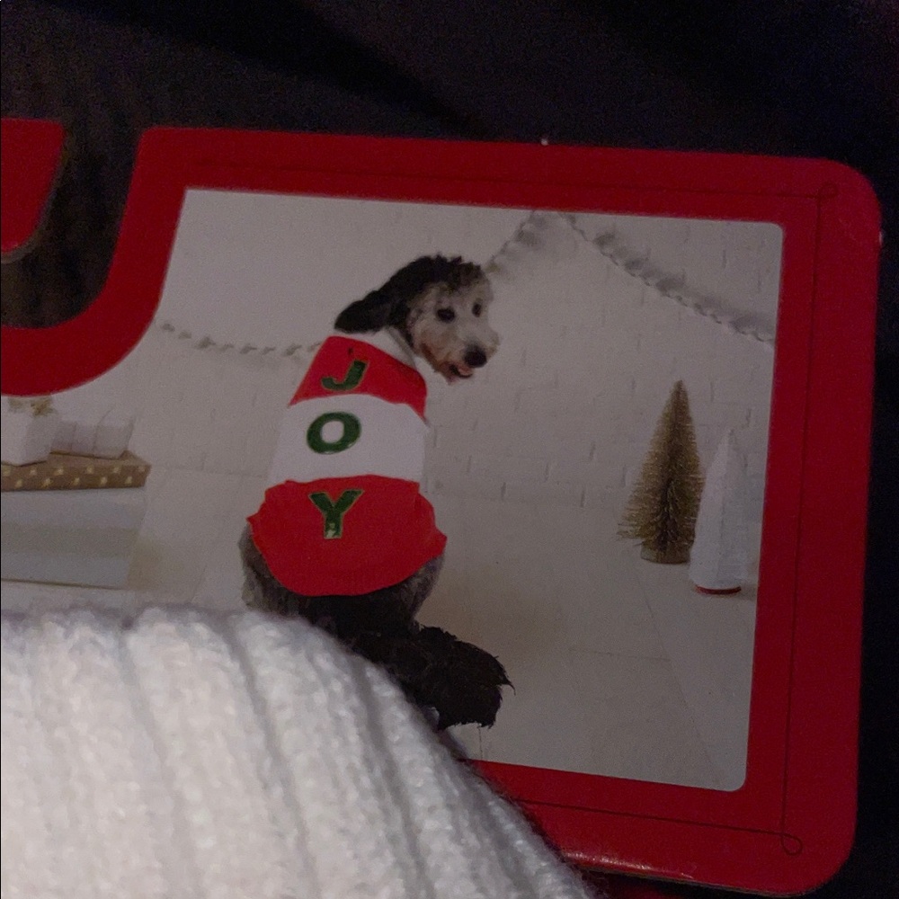 Festive Red and White Dog Sweater